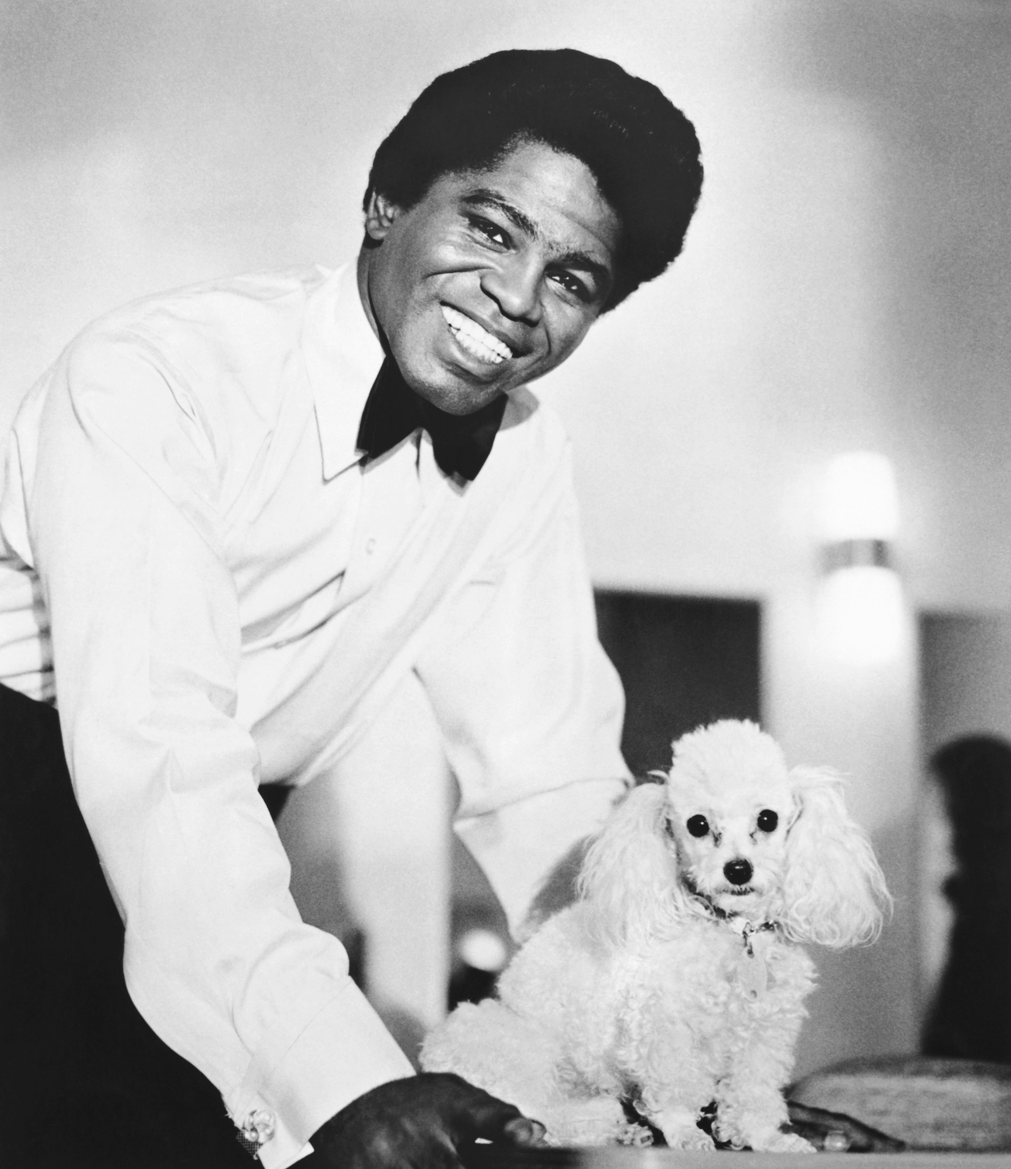 James Brown with a toy poodle, New York City, 1960. Photo via Michael Ochs Archives/Getty Images.